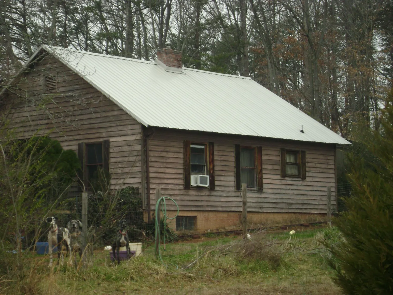 White metal roof on an old wood sided farmhouse, from a Asphalt Shingle Roof Repair job in College Grove